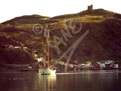 St. John's, Schooner and the Battery